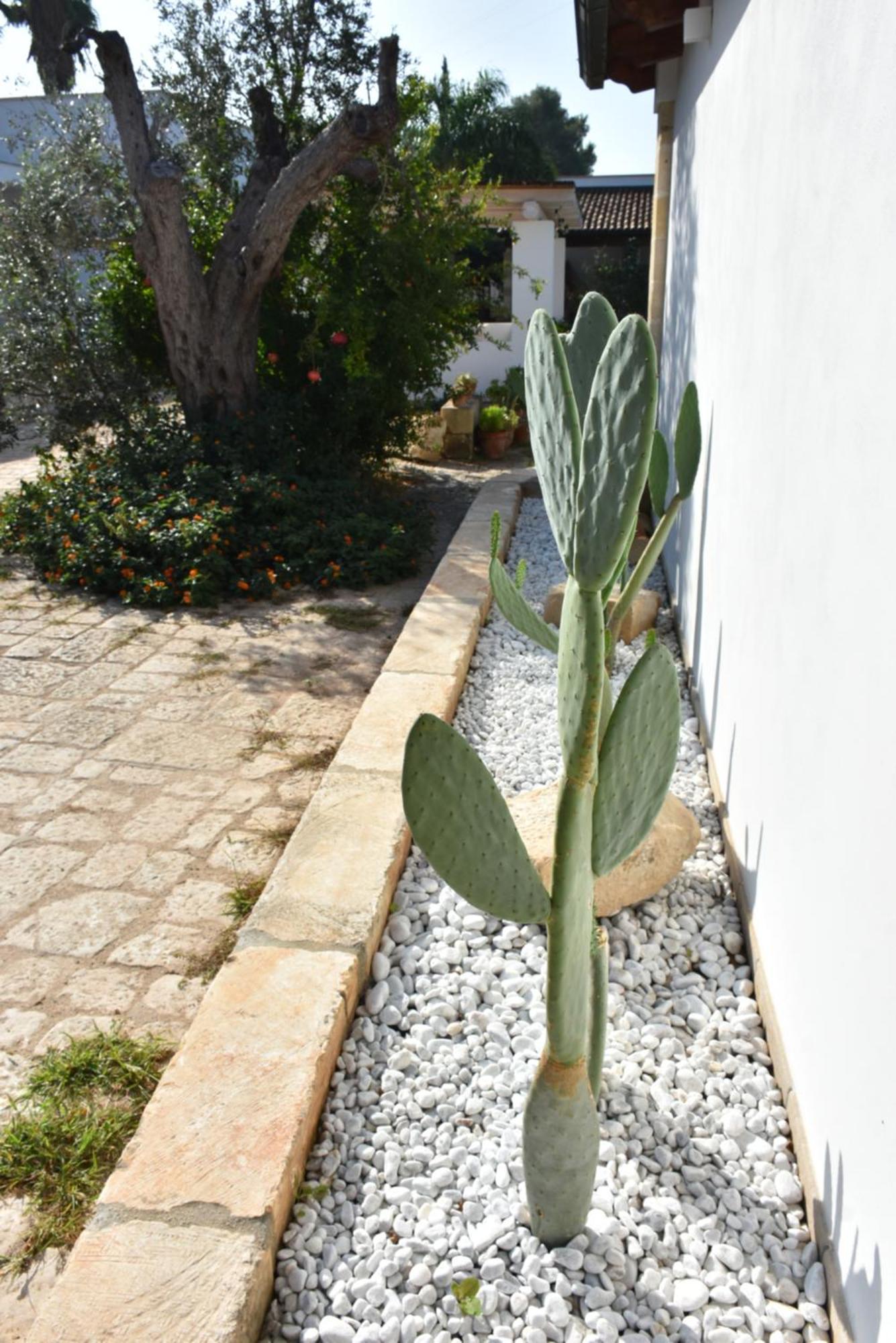 Masseria Tenuta Flora Maria Leverano Dış mekan fotoğraf